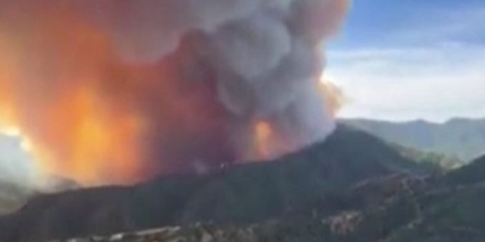 İspanya’nın başı orman yangılarıyla dertte 2 bin hektarlık alan kül oldu