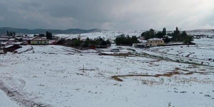 Yozgat'ta dolu tarım arazilerine zarar verdi
