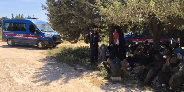 Denizli'de 35 kaçak göçmen yakalandı: 5 gözaltı
