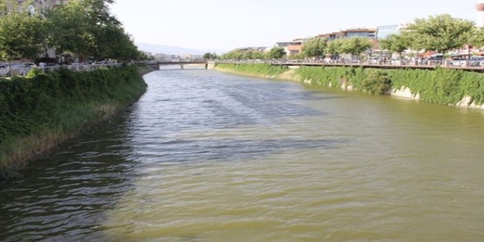 Asi Nehri'nde alarm: Balıklar ölüyor