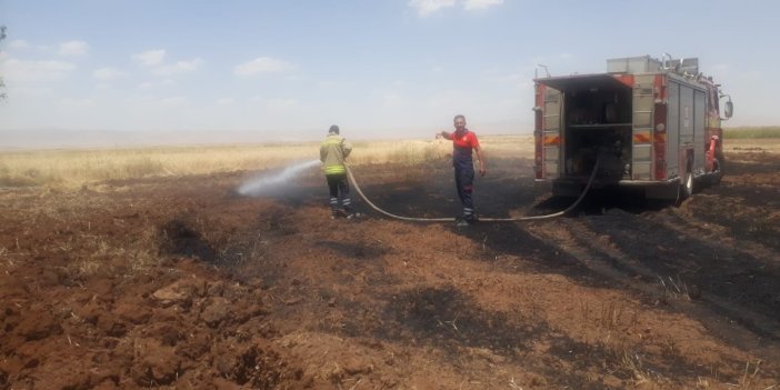 Mardin'de 100 dönümlük buğday tarlası kül oldu