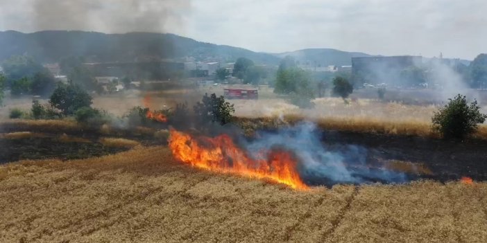 Bursa’da 50 dönümlük buğday tarlasında yandı