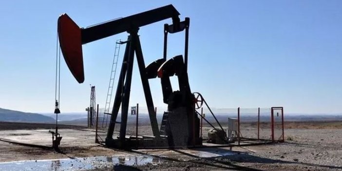 TPAO'nun 3 ildeki petrol arama ruhsatının süresi uzatıldı