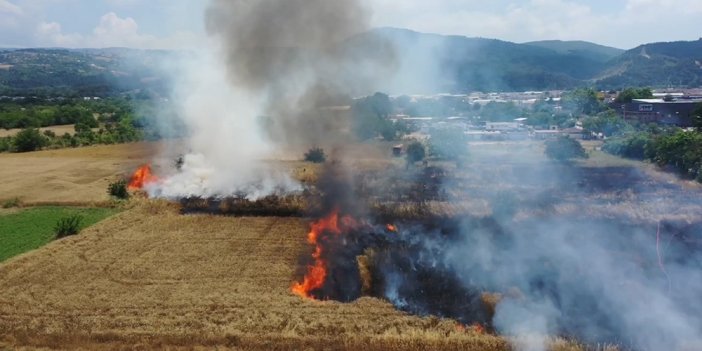 Türkiye’de peş peşe buğday tarlaları yanıyor! Bu da mı tesadüf…