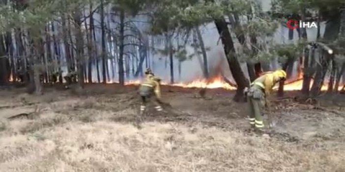 İspanya'nın başı orman yangılarıyla dertte.25 bin hektar ormanlık alan küle döndü.