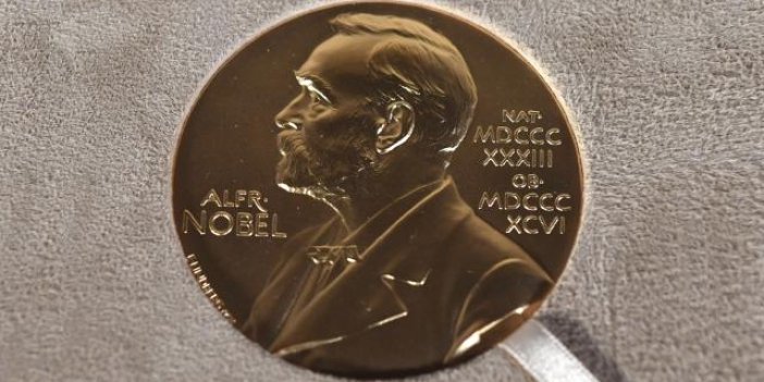 Rus gazeteci, Nobel madalyasını açık artırmaya çıkardı