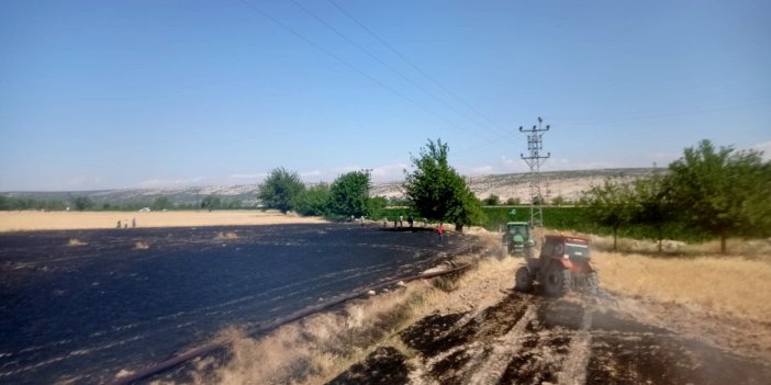 Adıyaman'da 60 dönümlük ekinler yandı