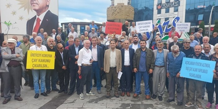 Cumhurbaşkanı Erdoğan'ın memleketi Rize'de çay üreticilerinden protesto
