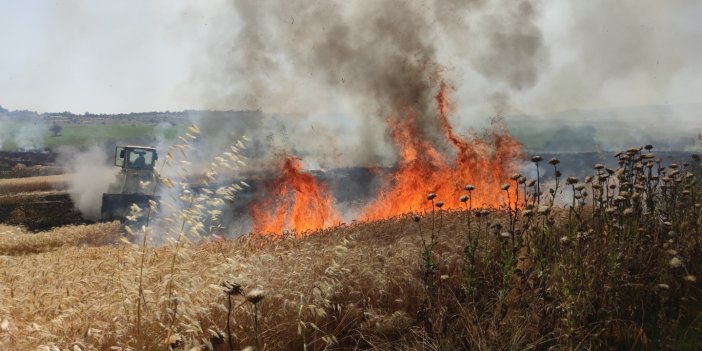 Tekirdağ’da 300 dönüm buğday tarlası küle döndü. Buğday krizi yaşanırken Türkiye'de buğday tarlaları peş peşe yanıyor