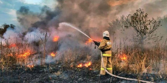 Rusya'nın başı orman yangınlarıyla belada 78 ayrı noktada yangın çıktı
