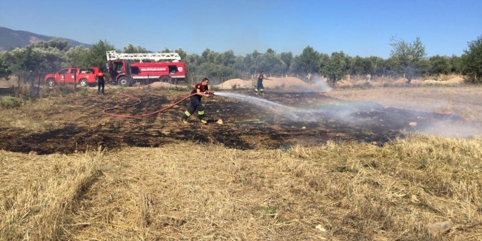 Muğla’da çıkan yangında 66 meyve ağacı ve ekinler zarar gördü