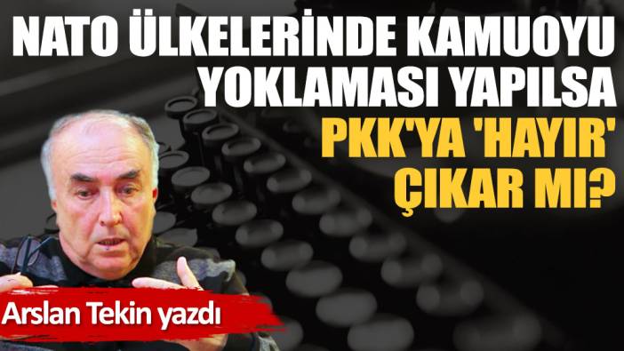 NATO ülkelerinde kamuoyu yoklaması yapılsa PKK'ya 'hayır' çıkar mı?