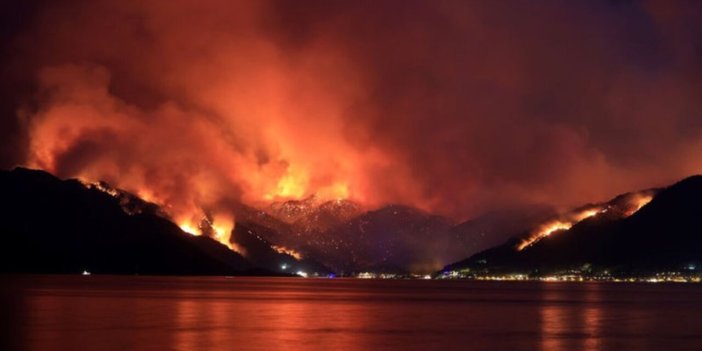 AFAD'dan 6 il için 'orman yangını' uyarısı