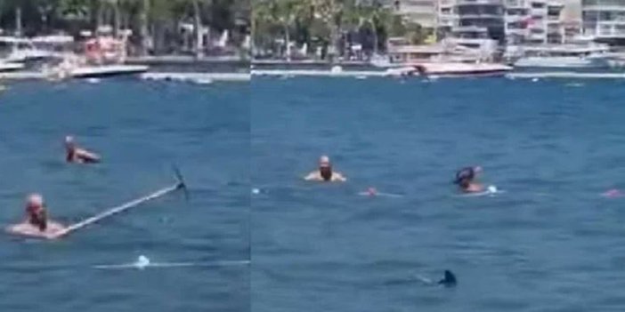 Dünya süpürge sapıyla köpek balığı kovalayan Türkleri konuşuyor. Mısır’da iki kadını yiyen köpek balıkları Marmaris’te dayak yedi