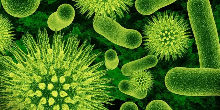 Bilim dünyasının bilmediği 1000'e yakın yeni mikrop türü keşfedildi