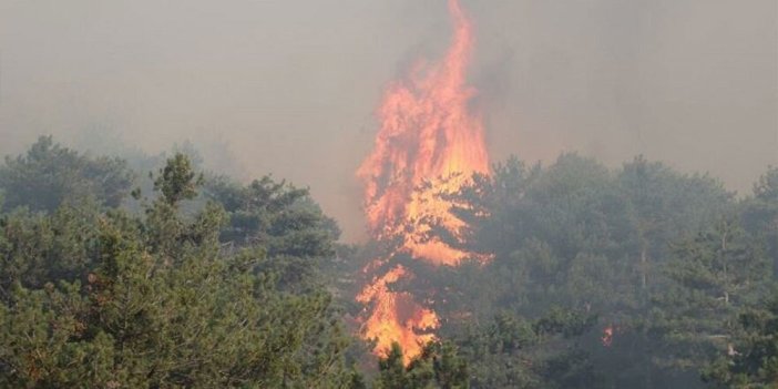 Azerbaycan’da orman yangını
