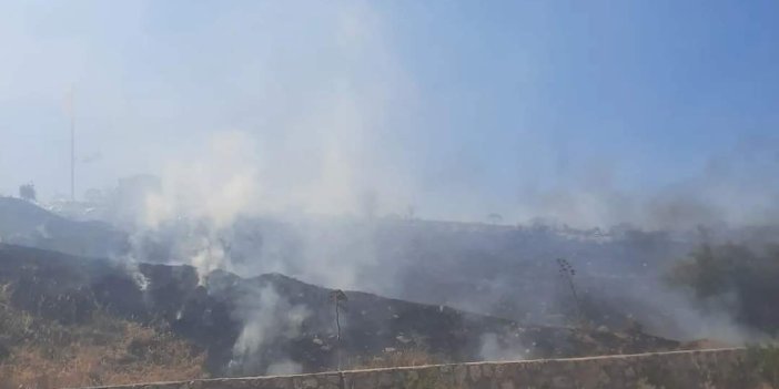 Bodrum’da makilik alanda yangın. 1 hektarlık alan küle döndü