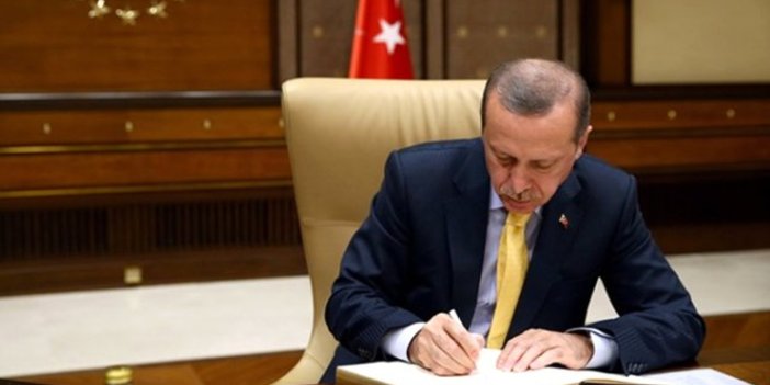 Erdoğan'dan gece yarısı flaş atama kararları! Resmi Gazete’de yayımlandı