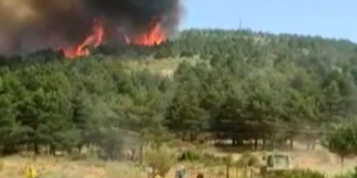 İspanya'da ormanlar alev alev yanıyor. 2 Bin 300 kişi tahliye edildi