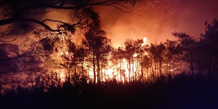 Meteoroloji Muğla için orman yangını uyarısı yaptı