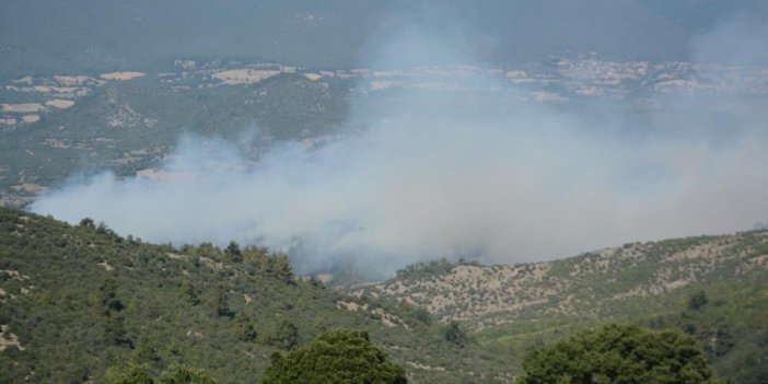 Balıkesir'de orman yangını. Havadan ve karadan müdahale ediliyor