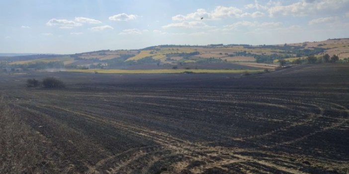 Tekirdağ'da 380 dönüm buğday tarlası küle döndü