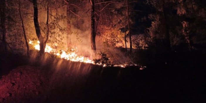Adana'da 6 noktadaki orman yangınlarıyla ilgili bir kişi tutuklandı