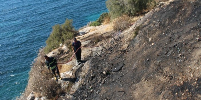 Kuşadası'nda makilik alanda yangın