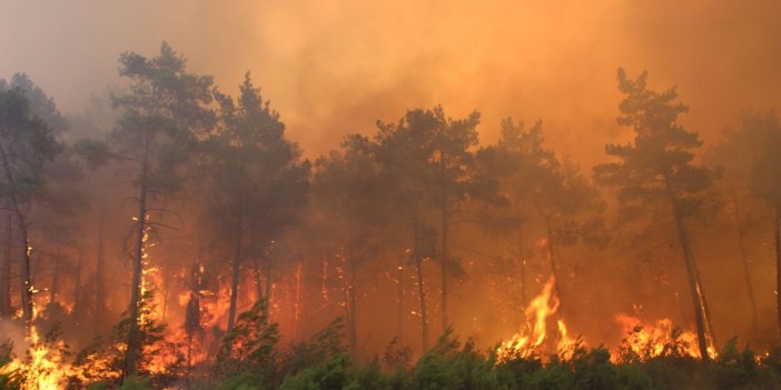 Bursa Valiliği’nden orman yangını uyarısı