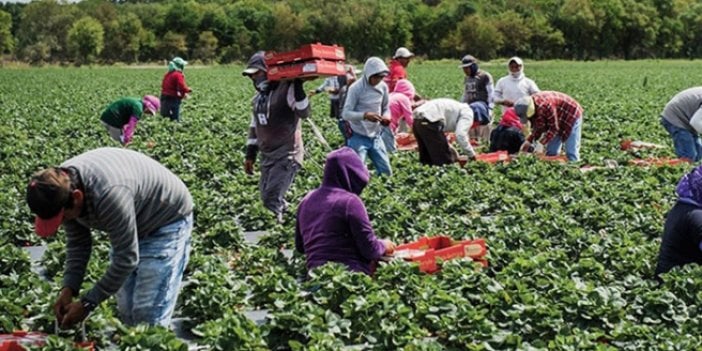 Çiftçinin gerçek enflasyonu açıklandı