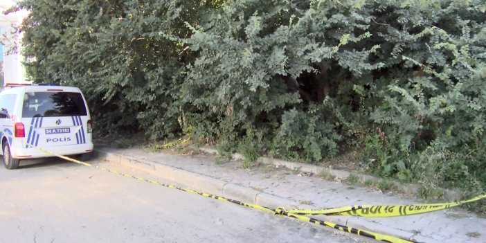 İstanbul’da ağaçlık alanda 20'li yaşlarında bir kadın cesedi bulundu