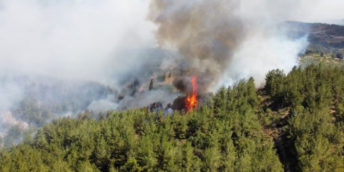 Manisa'da 185 hektar alanın zarar gördüğü yangına ilişkin yeni gelişme