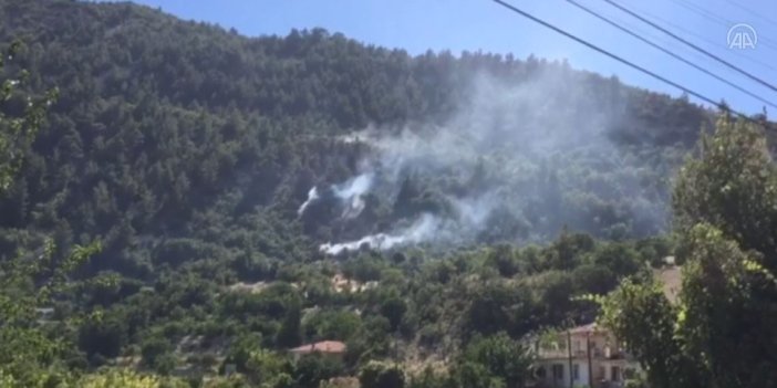 Karaman'da orman yangını