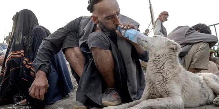 Afganistan'ın uyuşturucu bağımlısı köpekleri. Başkent sokaklarında her an uyuşturucu nedeniyle ölenlerin cesetlerini görmek mümkün