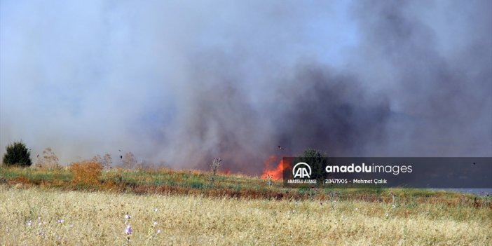 Uşak Havalimanı'nda otluk alanda çıkan yangın söndürüldü