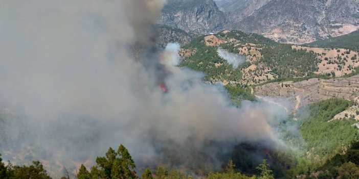 Adana'nın Kozan ilçesinde çıkan orman yangını rüzgarın etkisiyle kısa sürede büyüdü