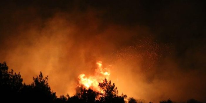Adana'da ormanlık alanda yangın: Müdahale sürüyor