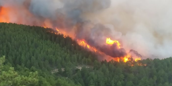 Kütahya'da orman yangını çıktı. Yangın kontrol altına alınmaya çalışılıyor