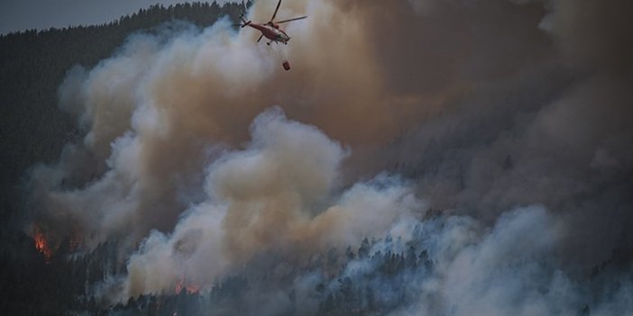 İspanya'daki orman yangınları söndürülemiyor