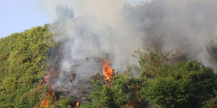 Rize'de ormanlara giriş-çıkış ve ateşli piknik yasaklandı