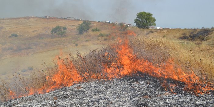 Tekirdağ’da anız ve çamlık alan alev alev yandı