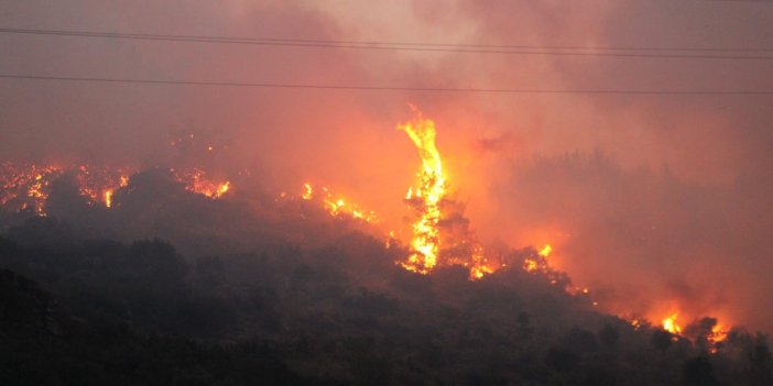 Söke'de çıkan orman yangını kısa sürede yayıldı