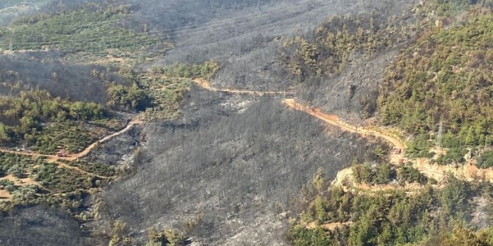 Söke'deki orman yangını 15 saat sonra kontrol altına alındı