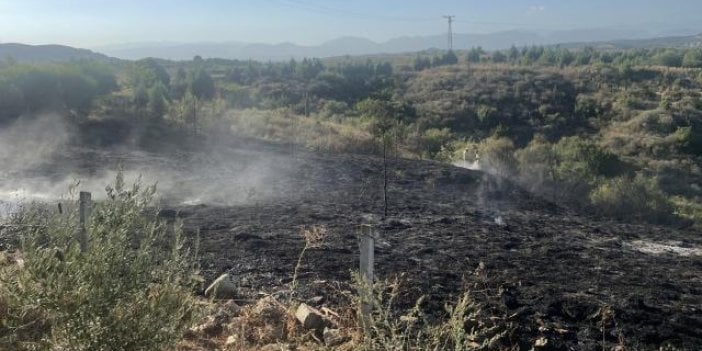 Adana'da yangın: Ormana sıçramadan kontrol altına alındı