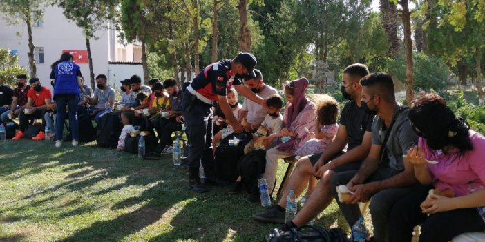 İzmir'de 278 kaçak göçmen yakalandı