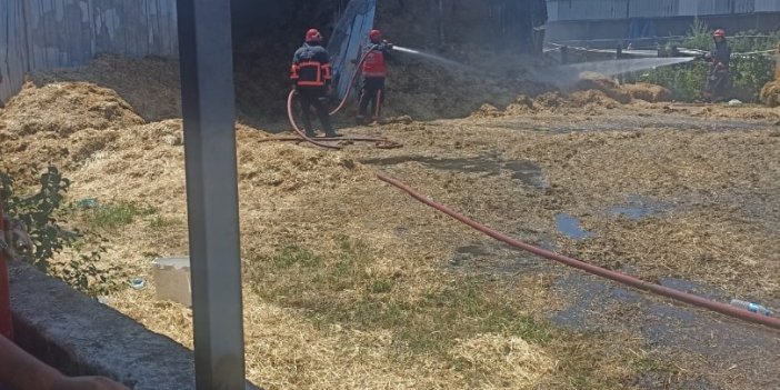 Sakarya'da samanlıkta yangın