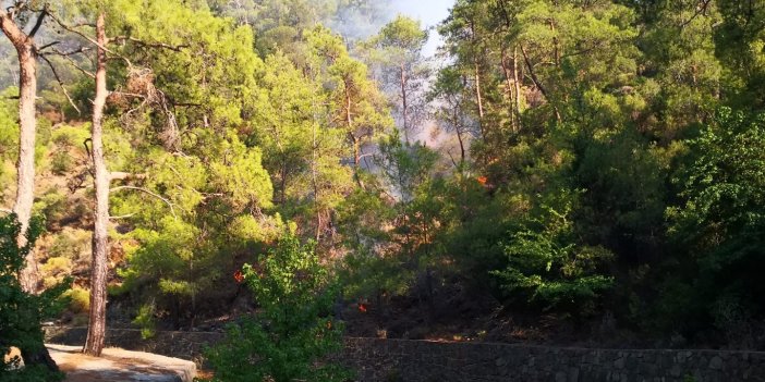 Marmaris’te orman yangını  