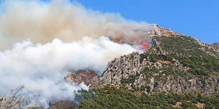 Yine ciğerlerimiz yanıyor! Hatay’da orman yangını başladı…