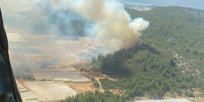 İzmir'de seraların bulunduğu bölgede çıkan yangın ormana sıçradı