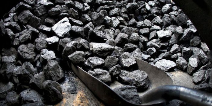 Bingöl Orman İşletme Müdürlüğü kömür satın alacak